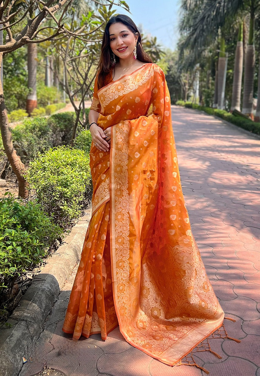 Organza Saree