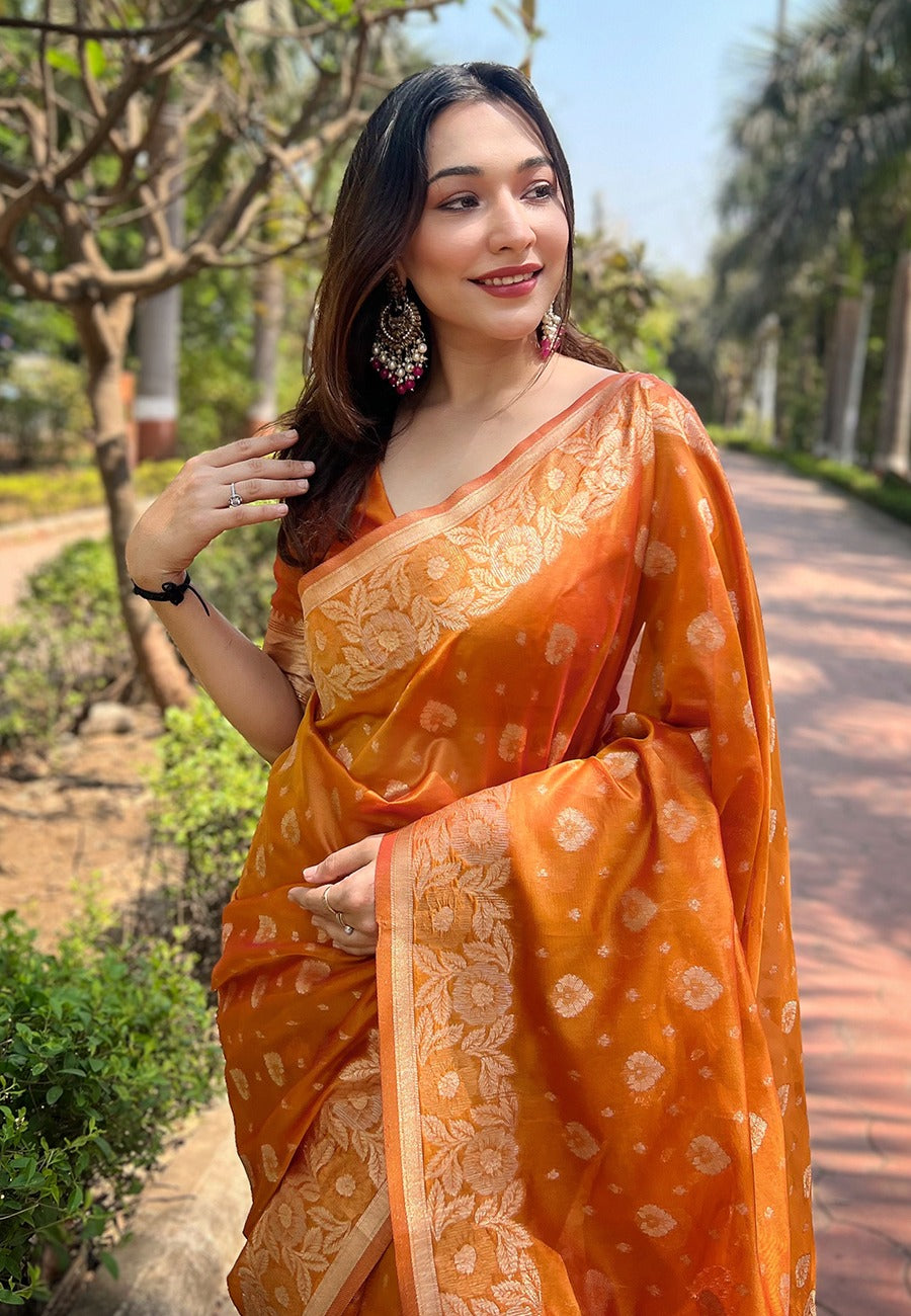 Organza Saree