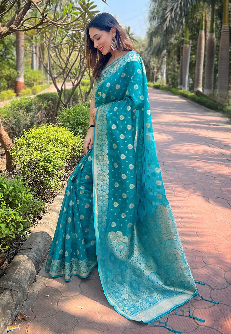 Organza Saree