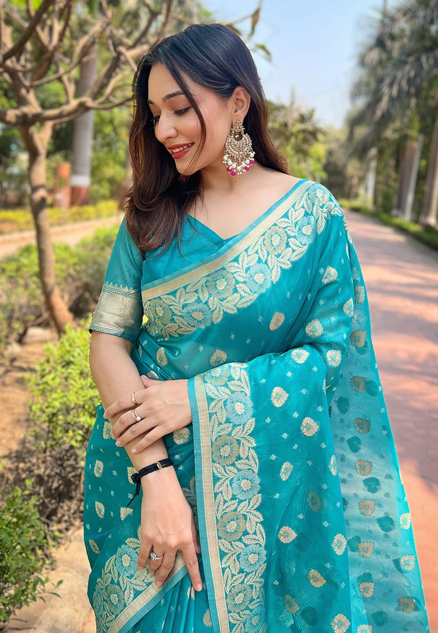 Organza Saree