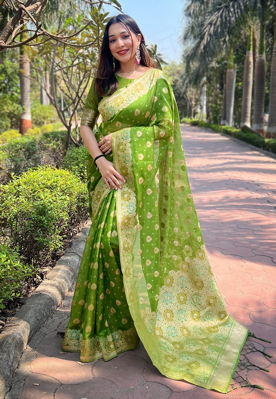 Organza Saree