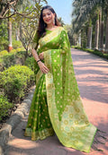 Organza Saree