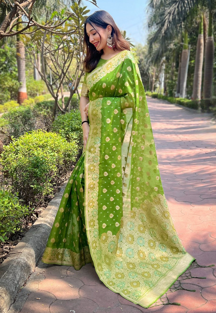 Organza Saree
