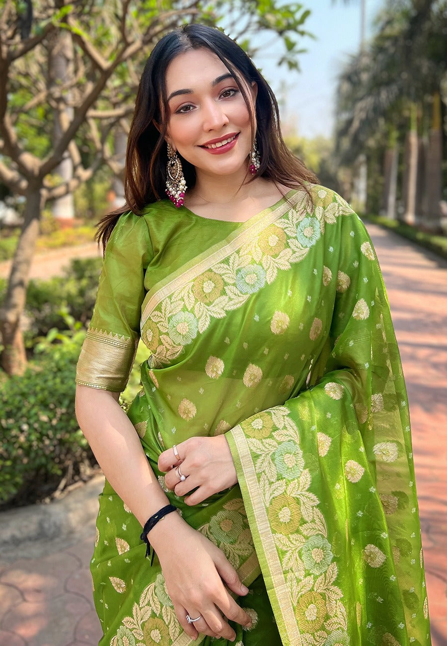 Organza Saree