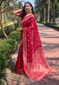 Organza Saree