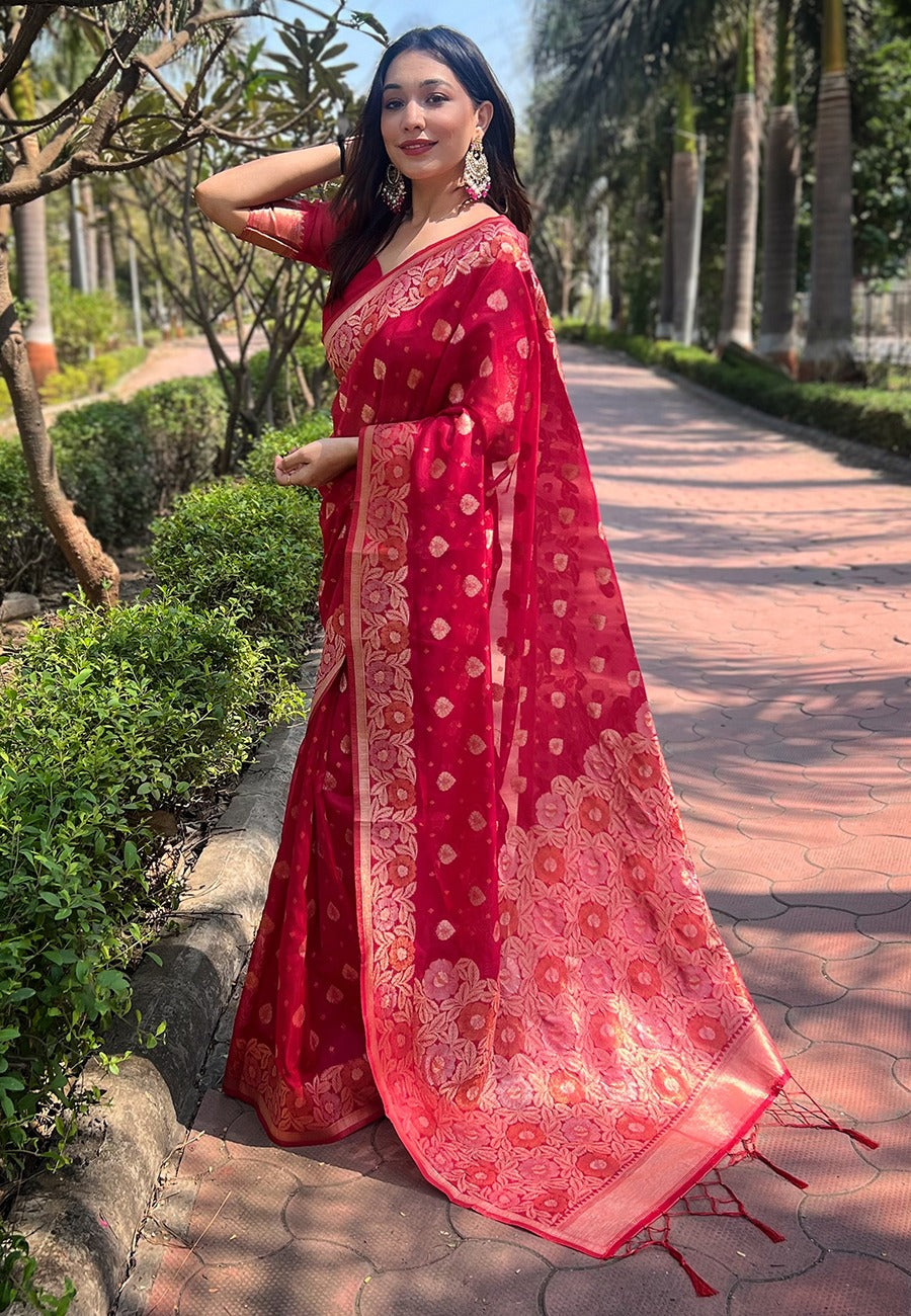 Organza Saree
