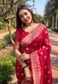 Organza Saree