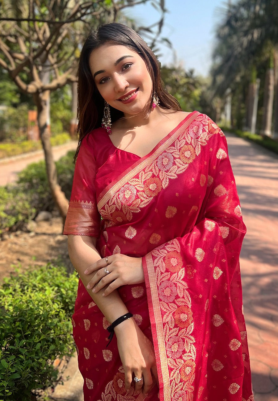 Organza Saree