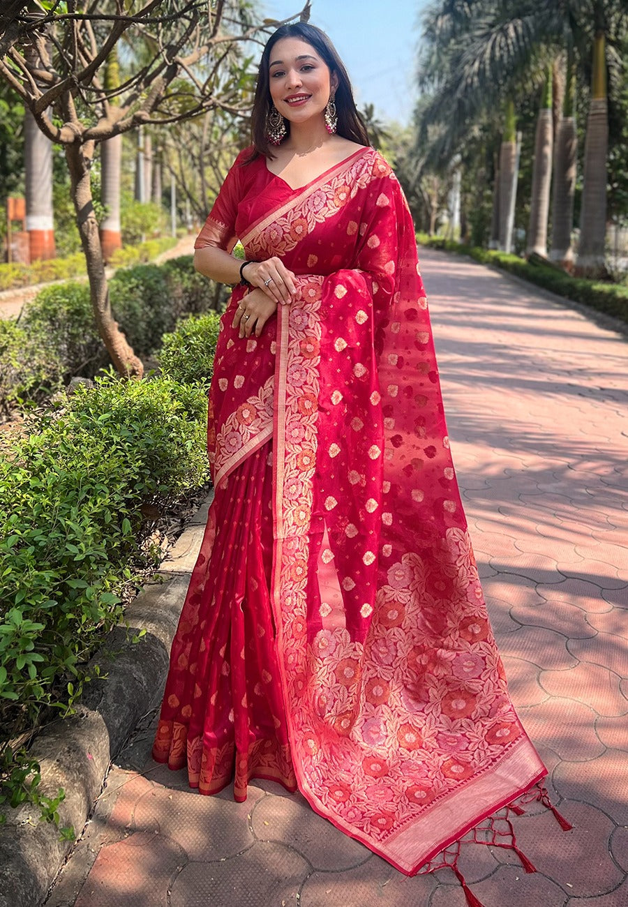 Organza Saree