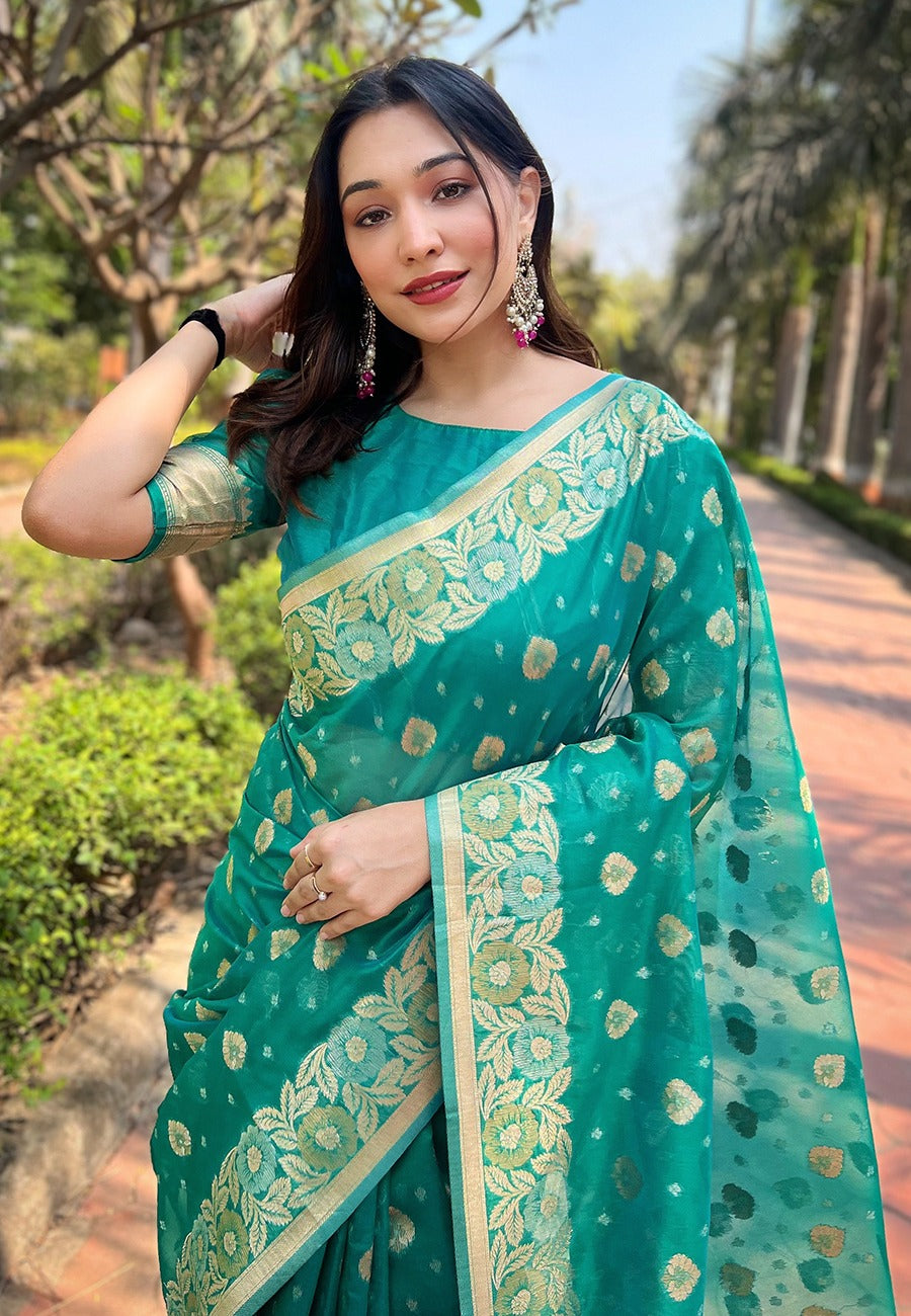 Organza Saree