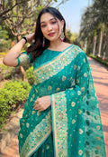 Organza Saree