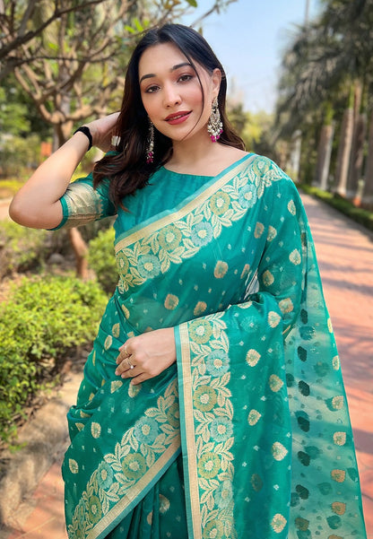 Organza Saree