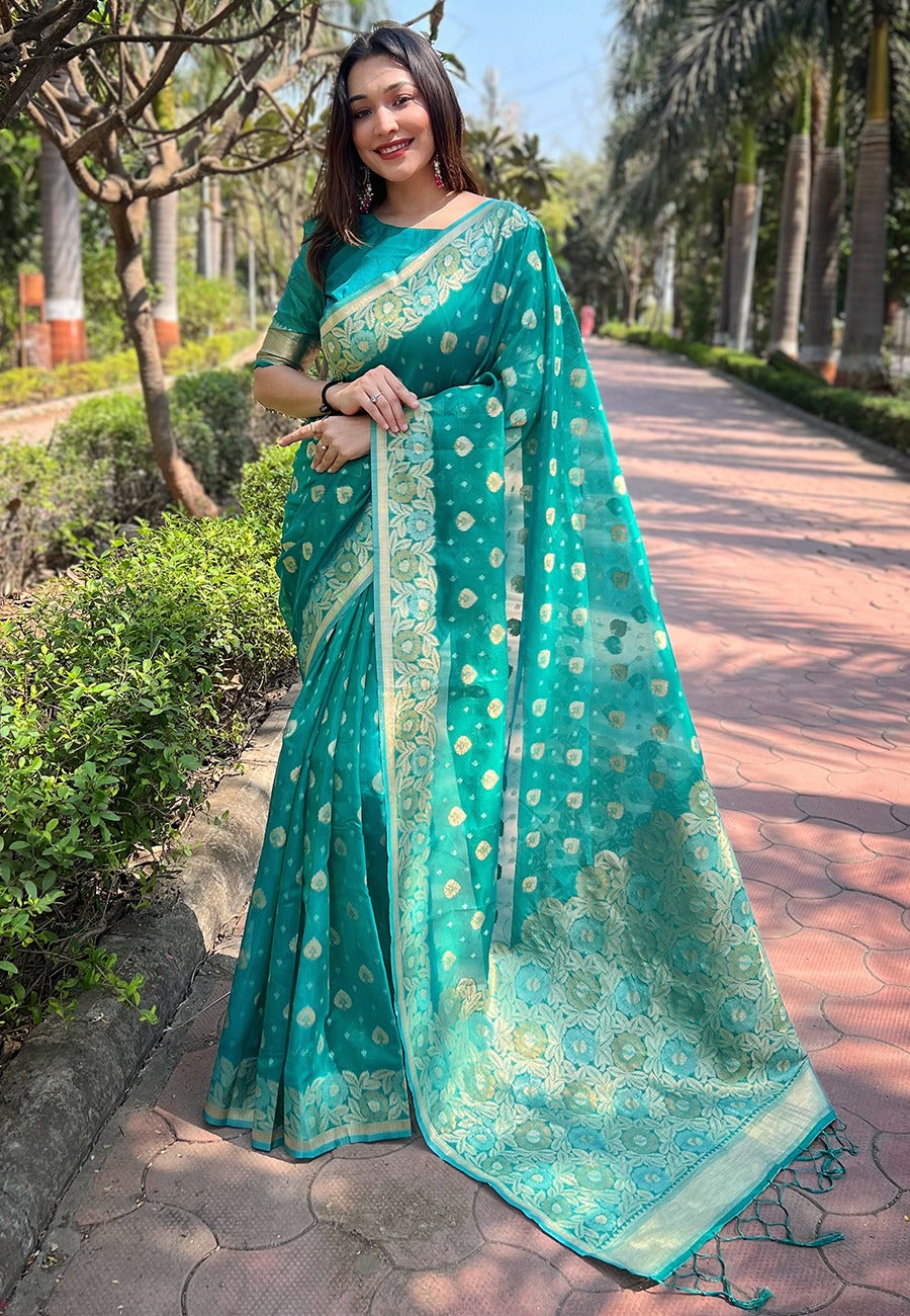 Organza Saree