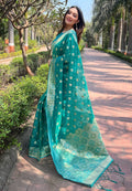 Organza Saree