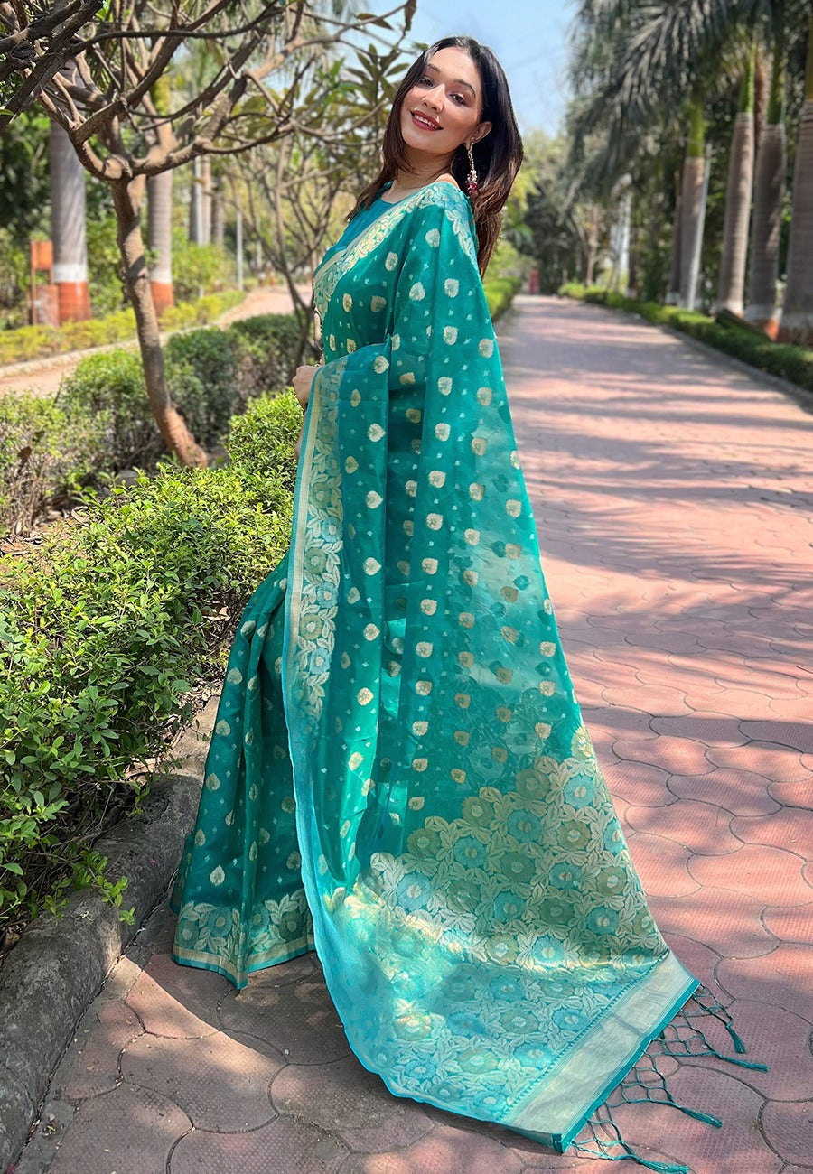 Organza Saree