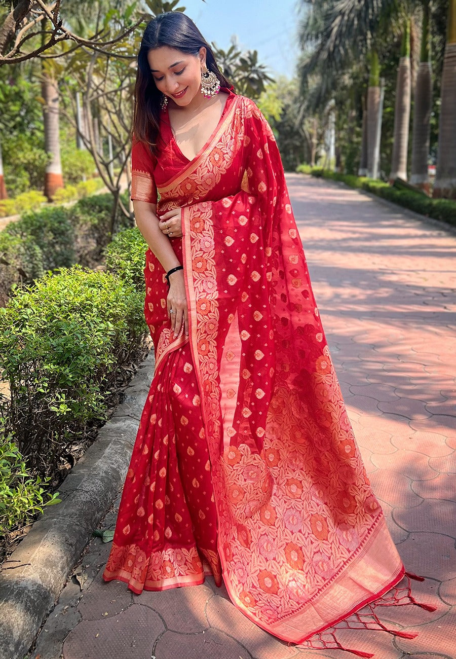 Organza Saree