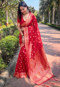 Organza Saree
