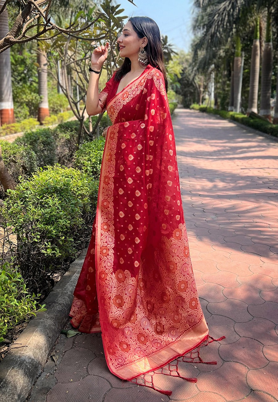 Organza Saree