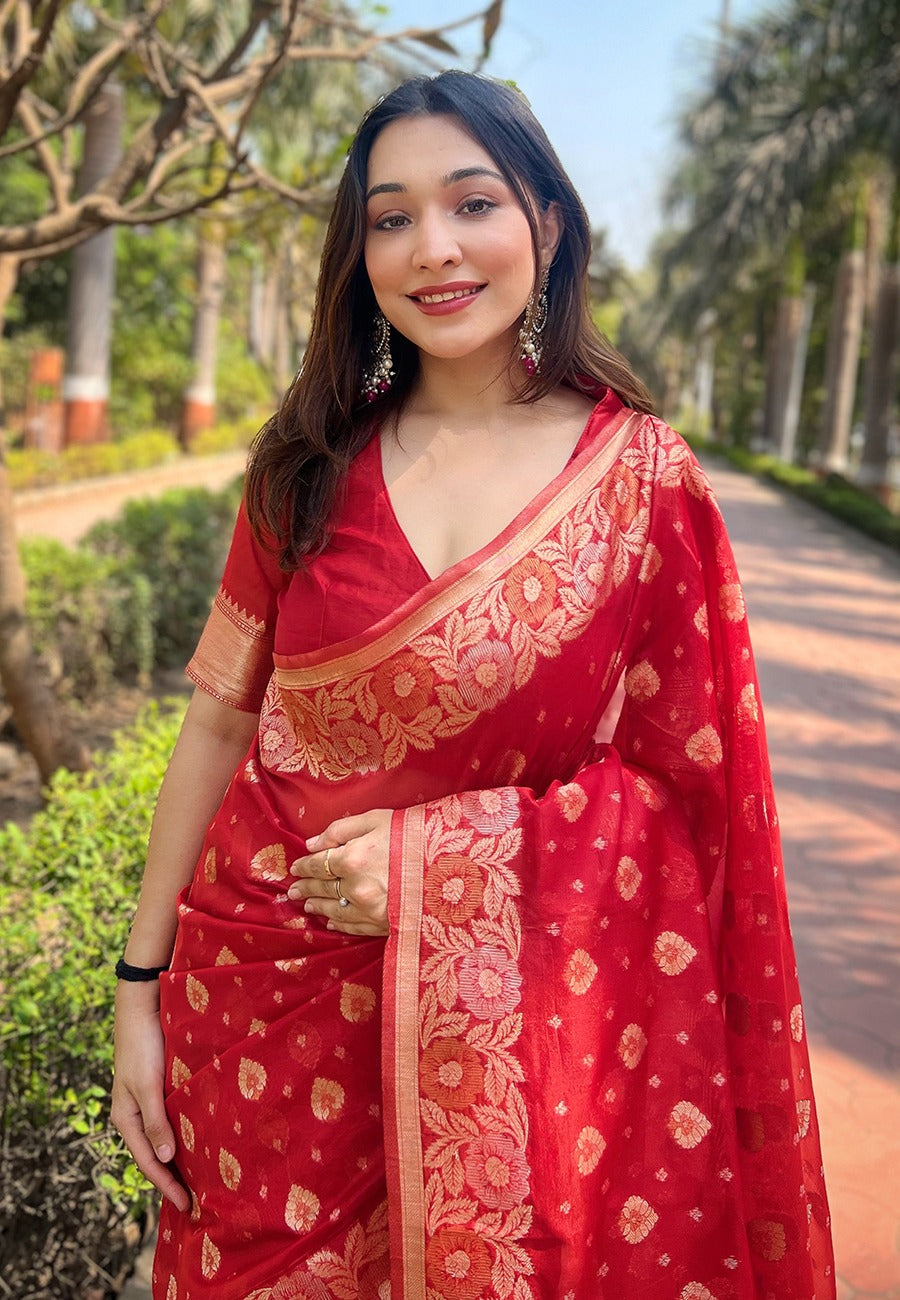 Organza Saree