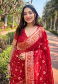 Organza Saree