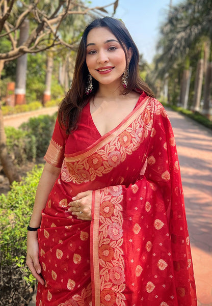 Organza Saree