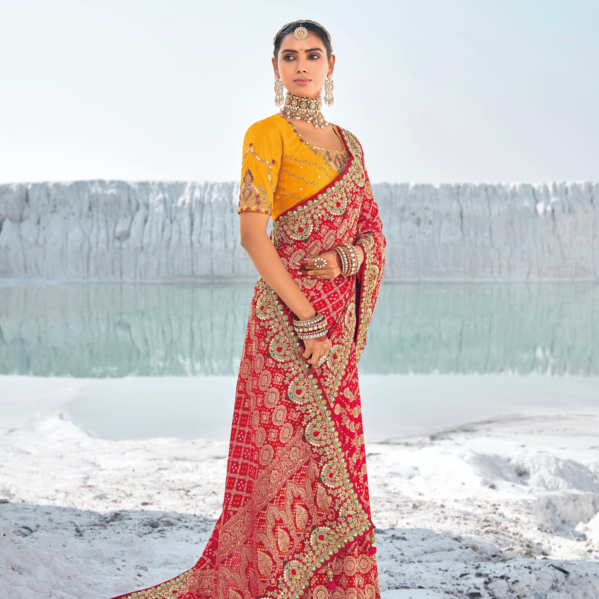 Red Pure Georgette Bandhani Patola Saree & Zari Weaving & Dual Blouses