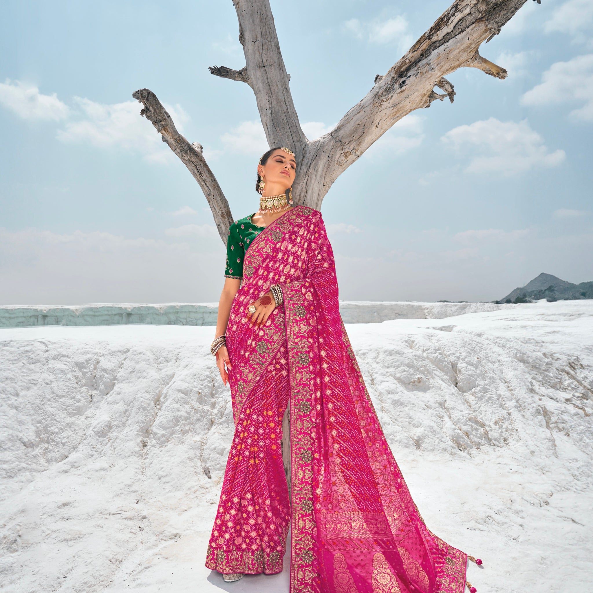 Purple Bandhani Patola Saree with Zari Borders & Dual Blouses