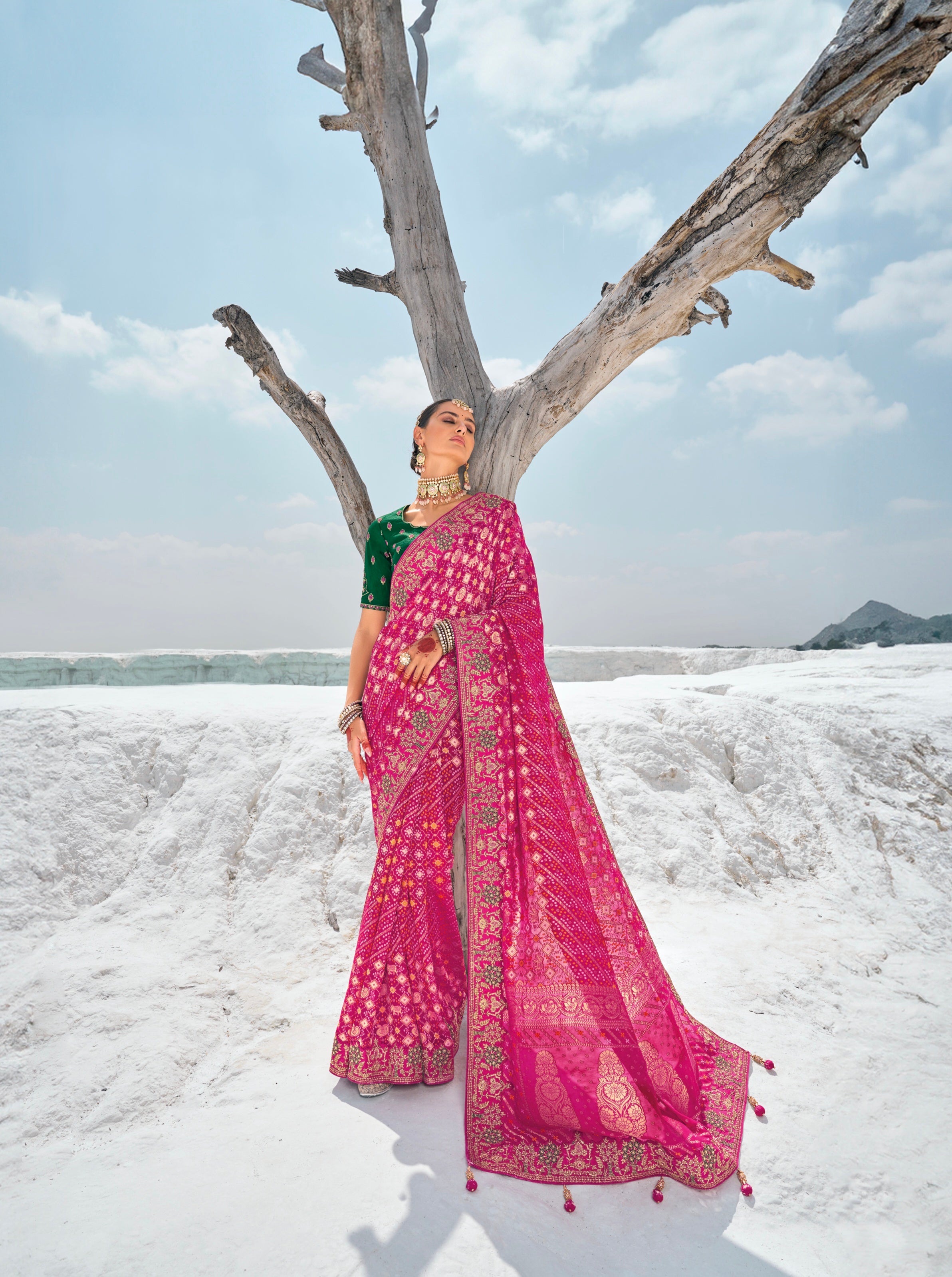 Purple Bandhani Patola Saree with Zari Borders &amp; Dual Blouses
