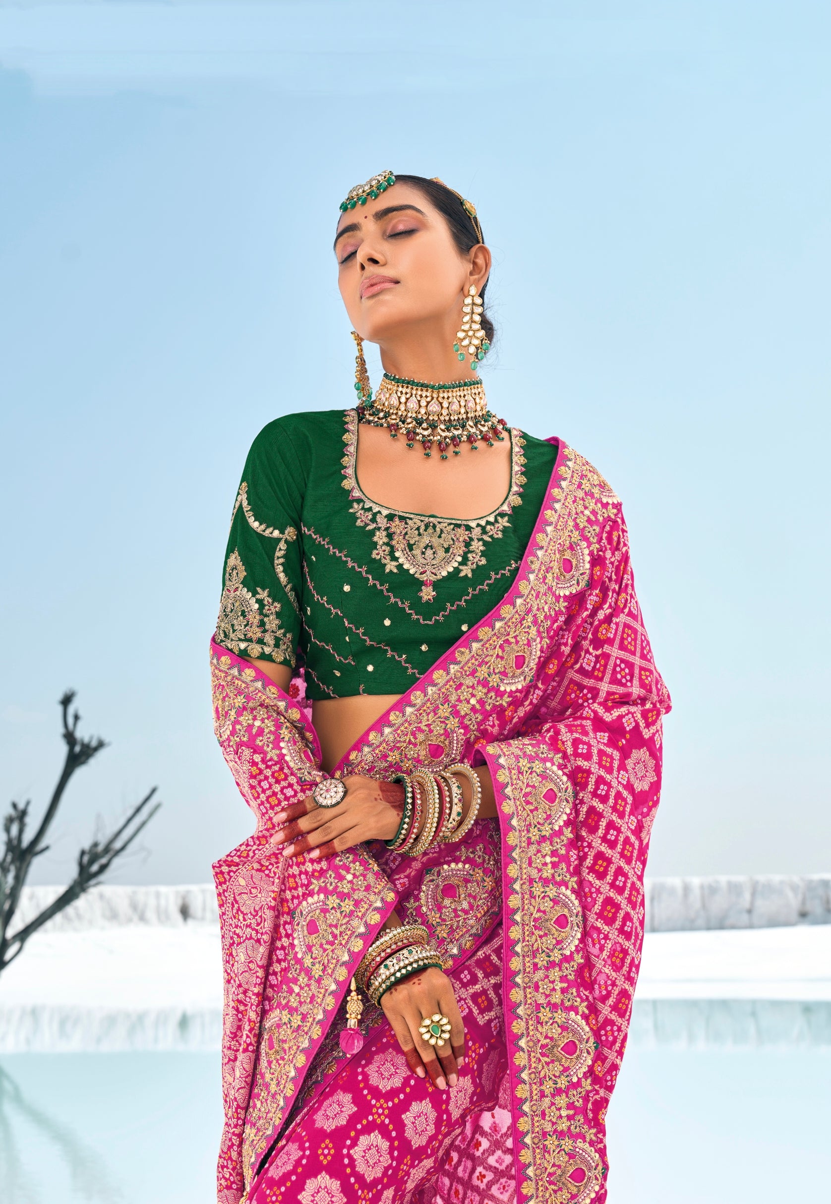 Pink Bandhani Saree with Zari Weaving &amp; Designer Dual Blouses