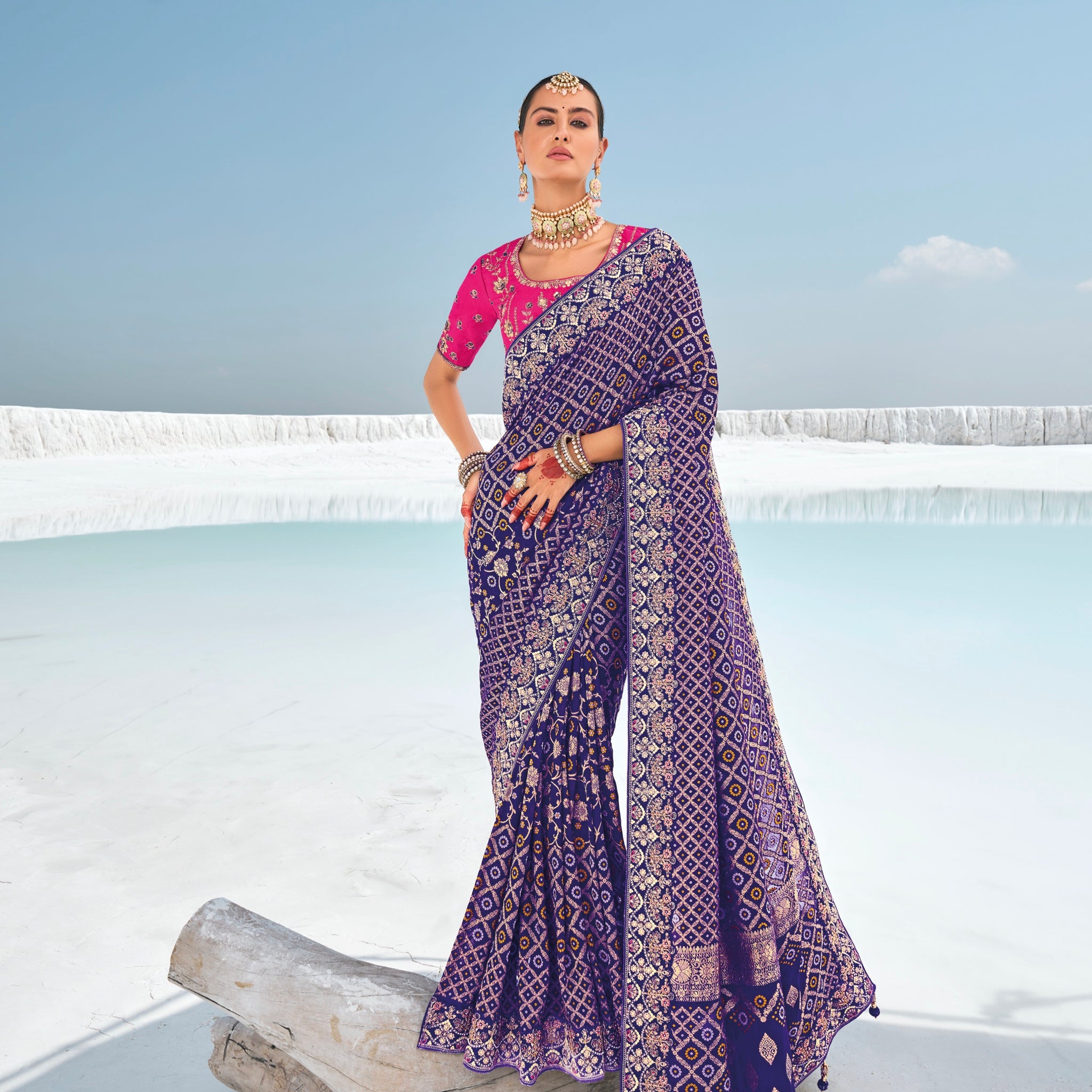 Purple Bandhani Patola Saree with Zari Borders & Dual Blouses
