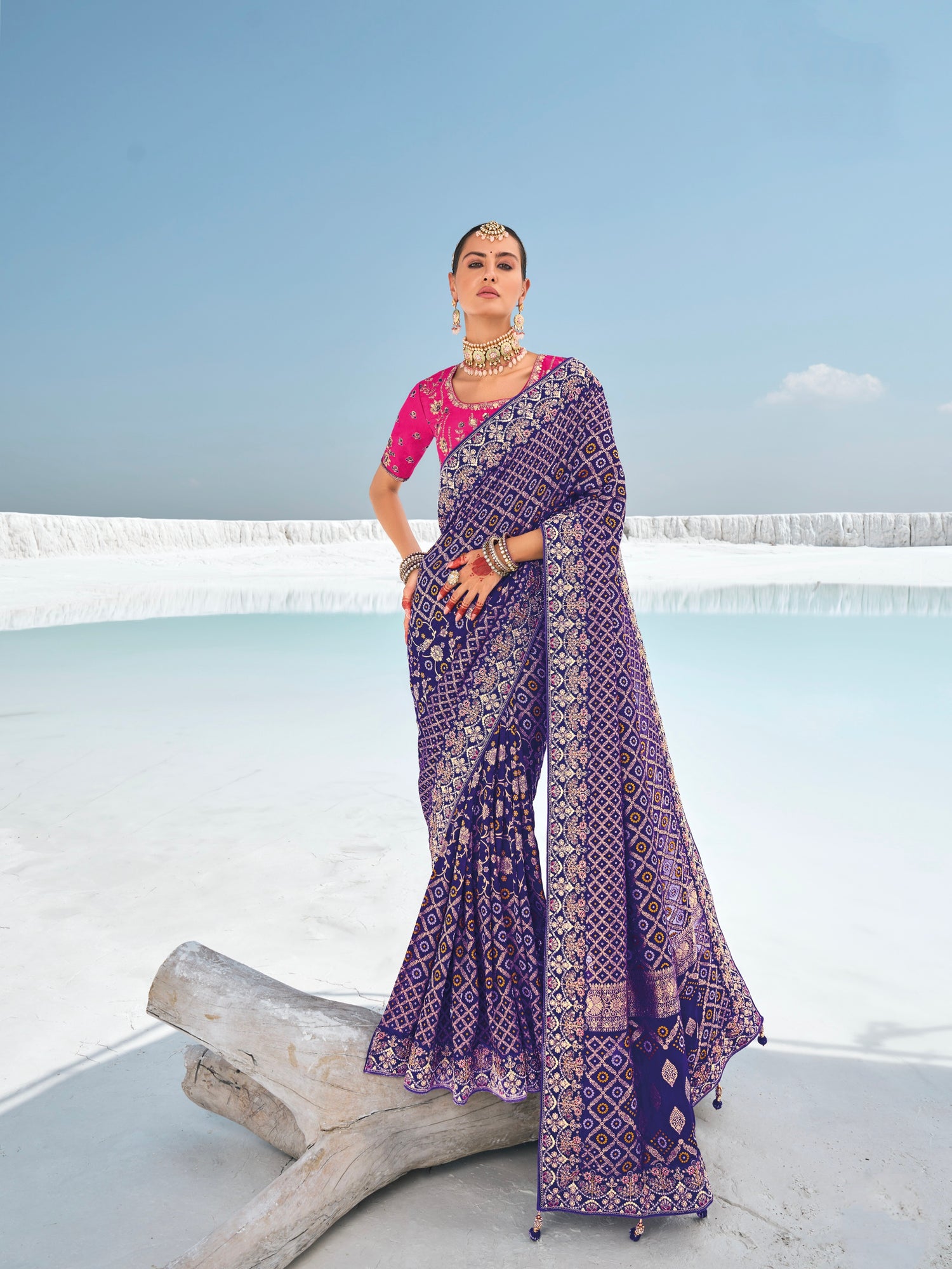 Purple Bandhani Patola Saree with Zari Borders &amp; Dual Blouses