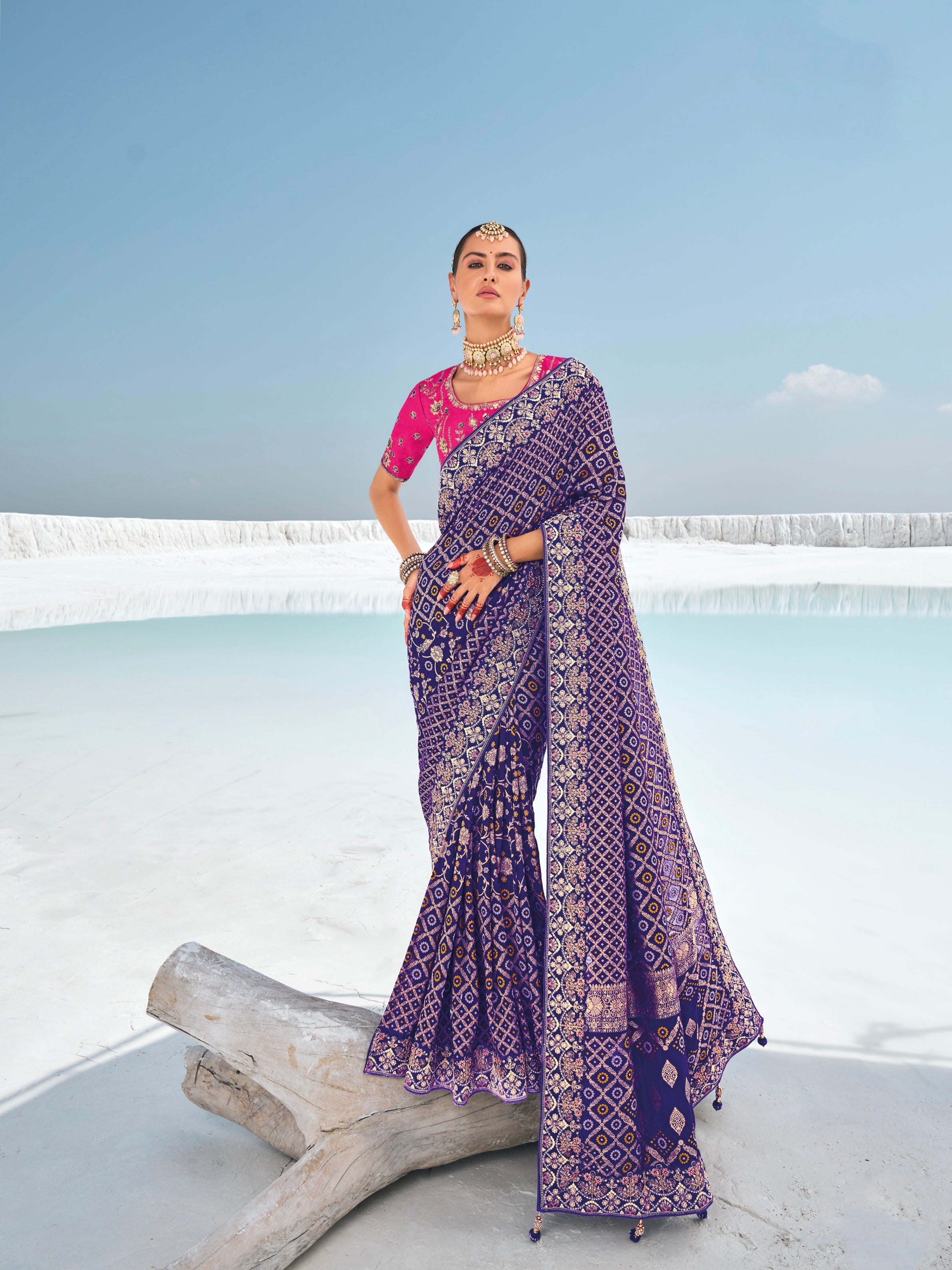 Purple Bandhani Patola Saree with Zari Borders &amp; Dual Blouses