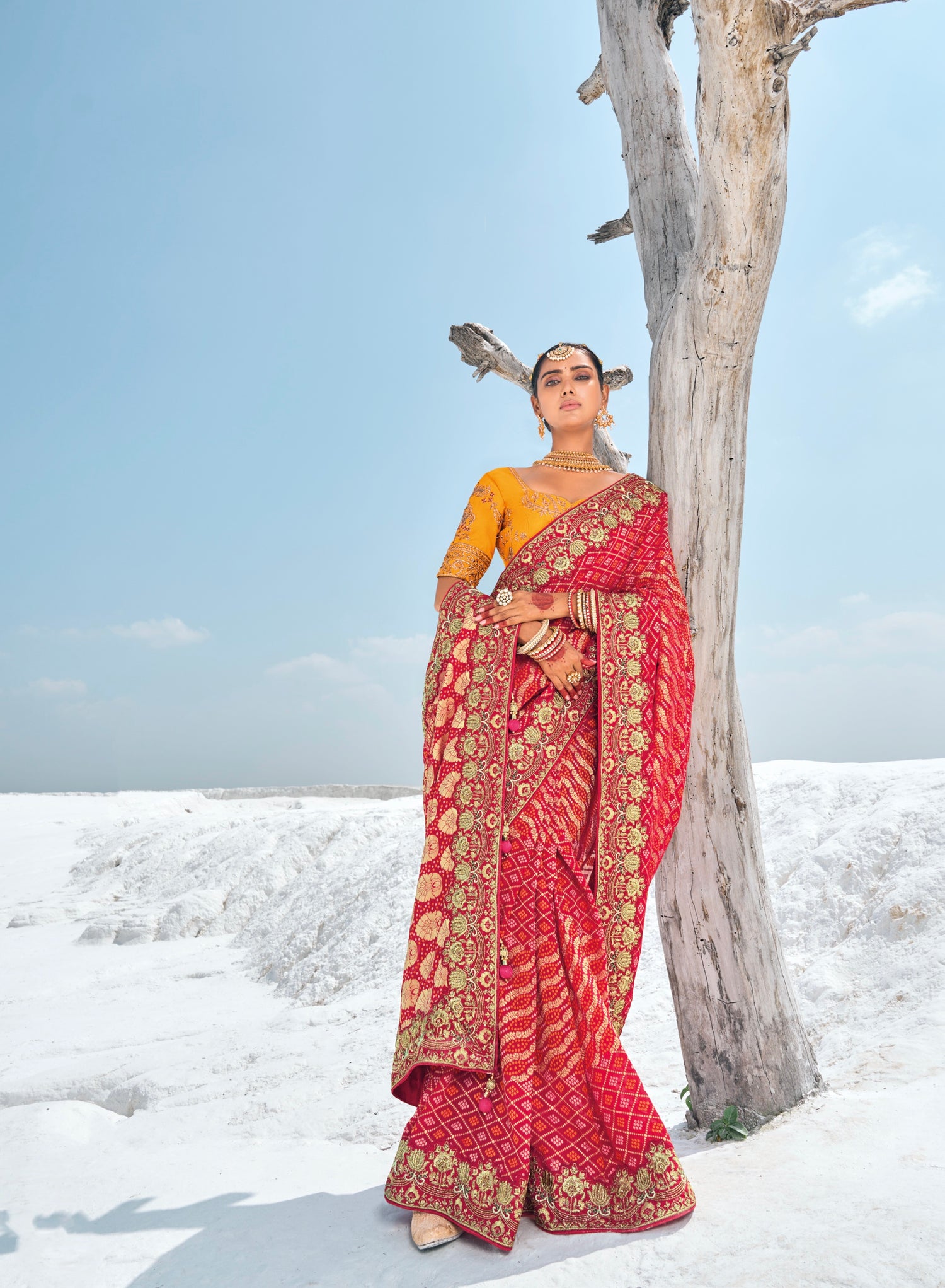 Red Bandhani Patola Saree with Zari Borders &amp; Dual Designer Blouses