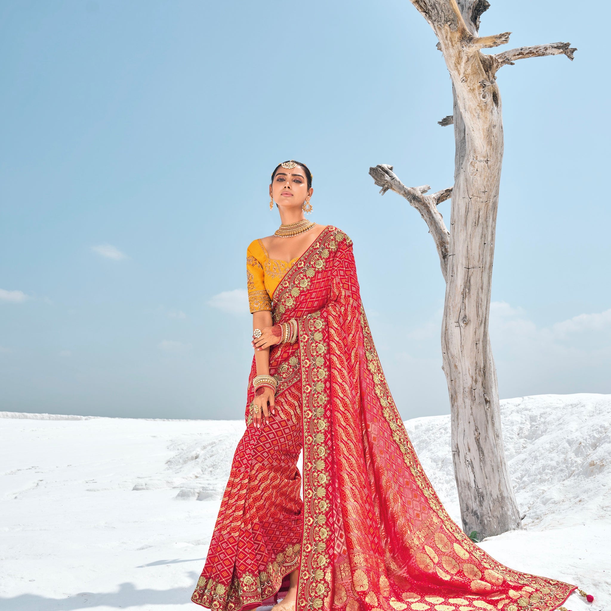 Red Bandhani Patola Saree with Zari Borders & Dual Designer Blouses