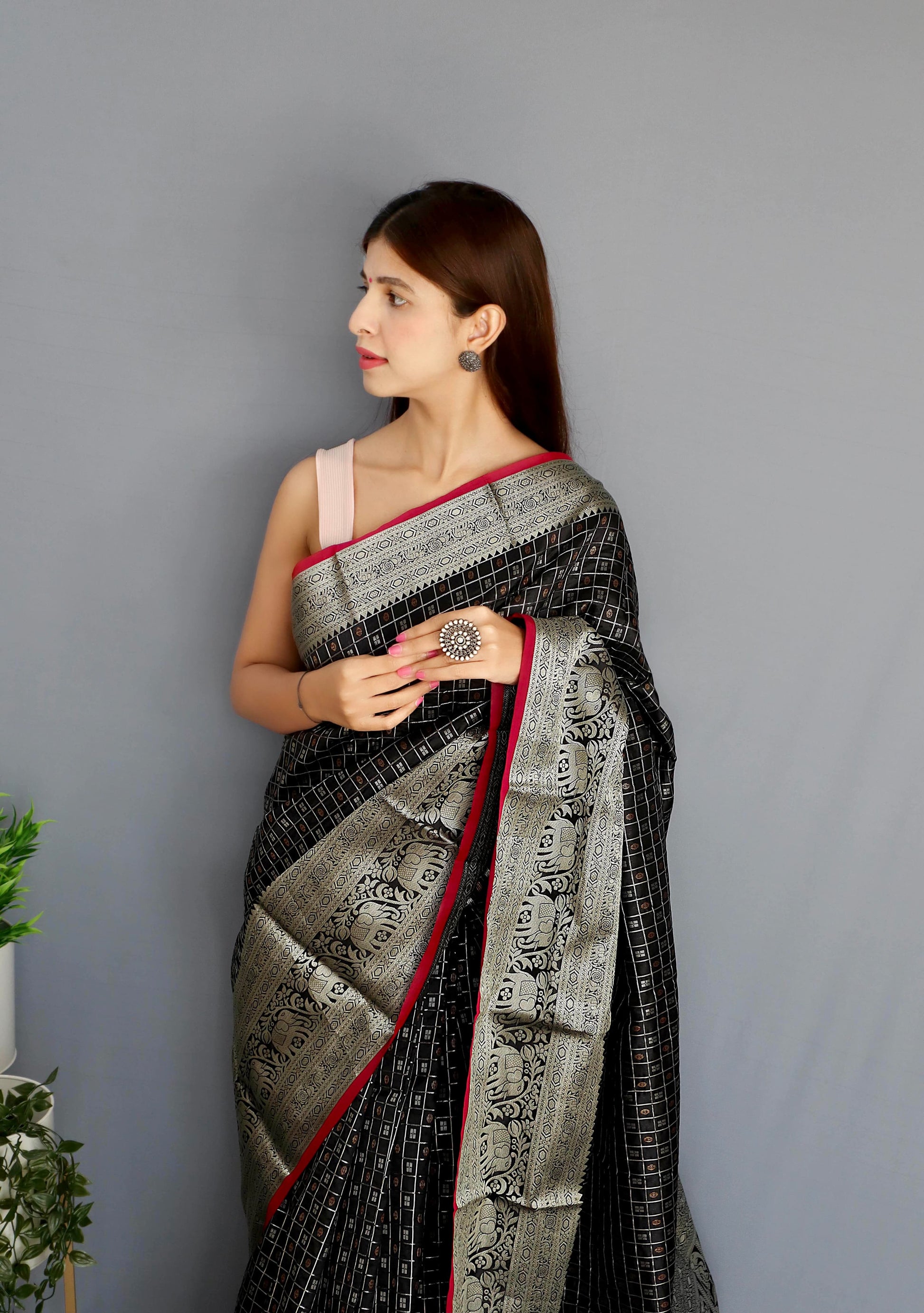 Khicha Saree