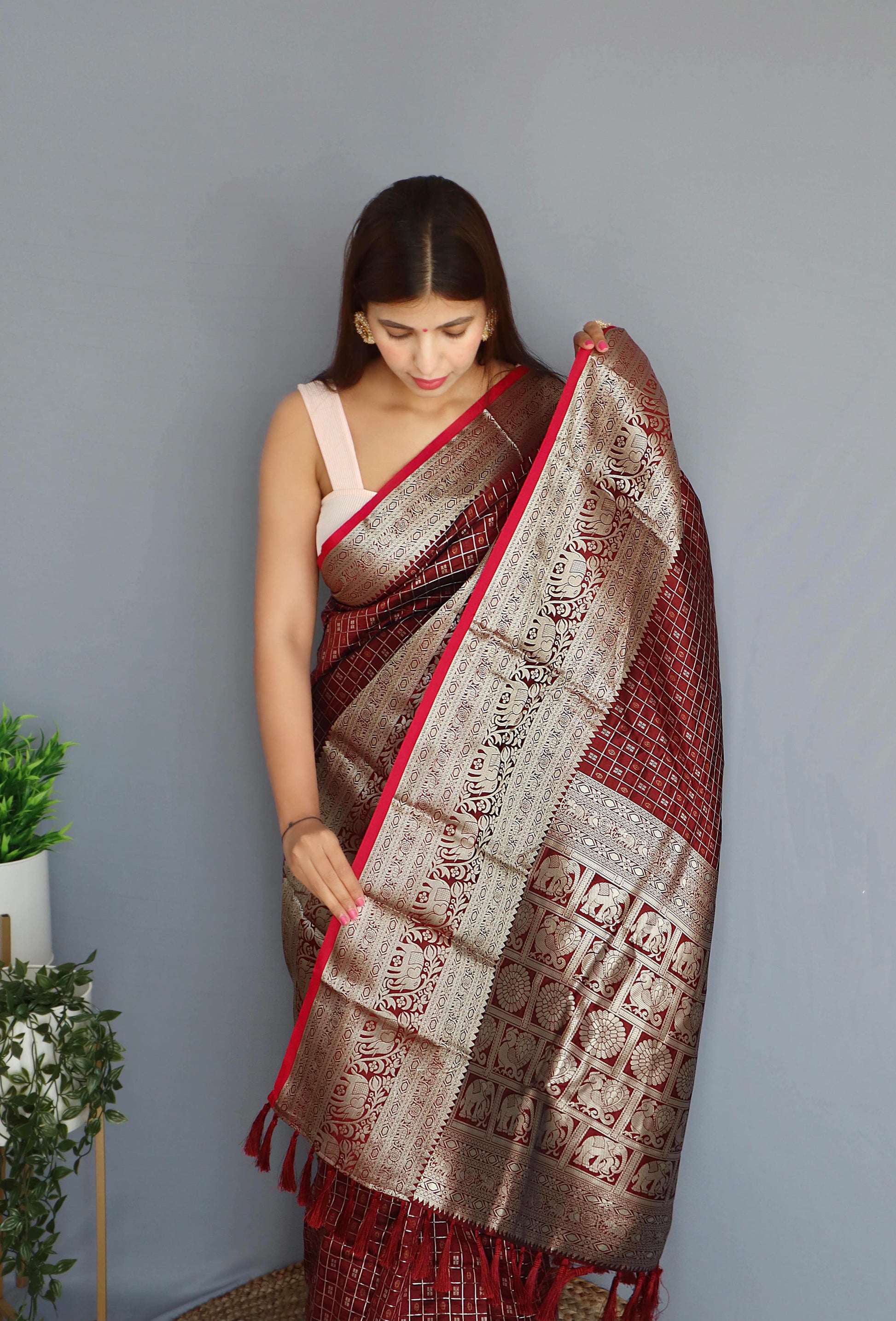 Khicha Saree