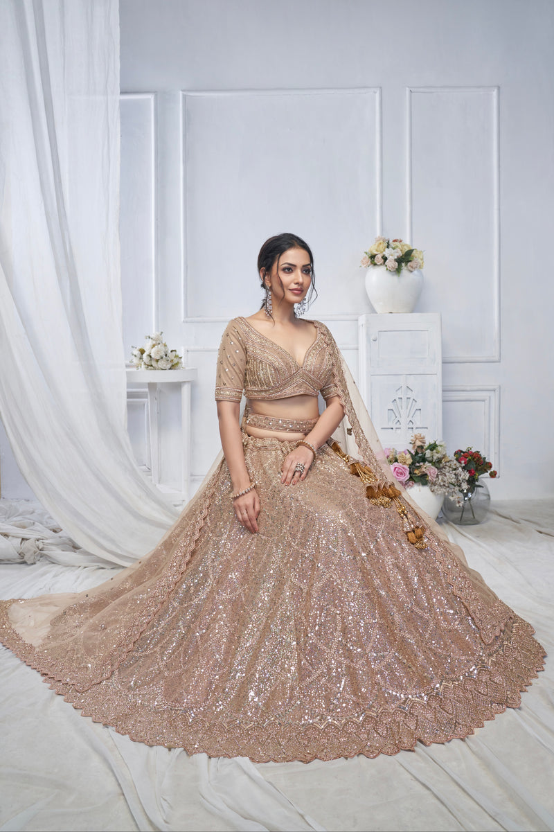 Brown Net Lehenga with Golden Sequins