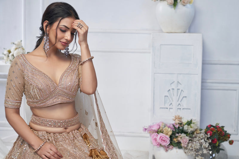 Brown Net Lehenga with Golden Sequins