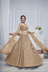 Bridal Brown Soft Net Lehenga with Paisley & Peacock Embroidery