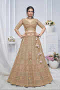 Bridal Brown Soft Net Lehenga with Paisley & Peacock Embroidery