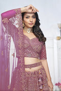 Onion Aari Embroidered Soft Net Lehenga with Zari & Stone Work