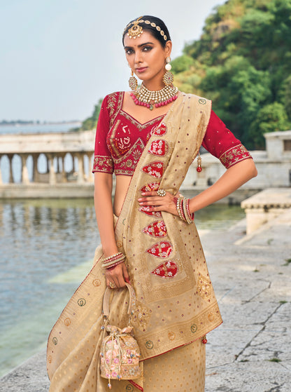 Chiku Pure Kanjivaram Silk Saree with Jardoshi, &amp; Moti Heavy Work
