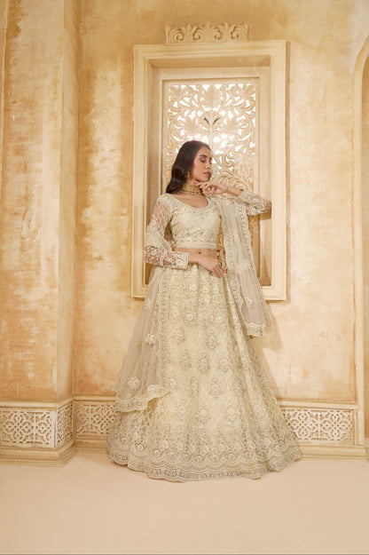 Ivory Net Embroidered Lehenga with Stone &amp; Cording Work