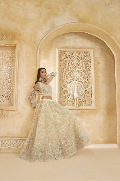 Ivory Elegant Net Lehenga Choli with Stone &amp; Embroidery Detailing