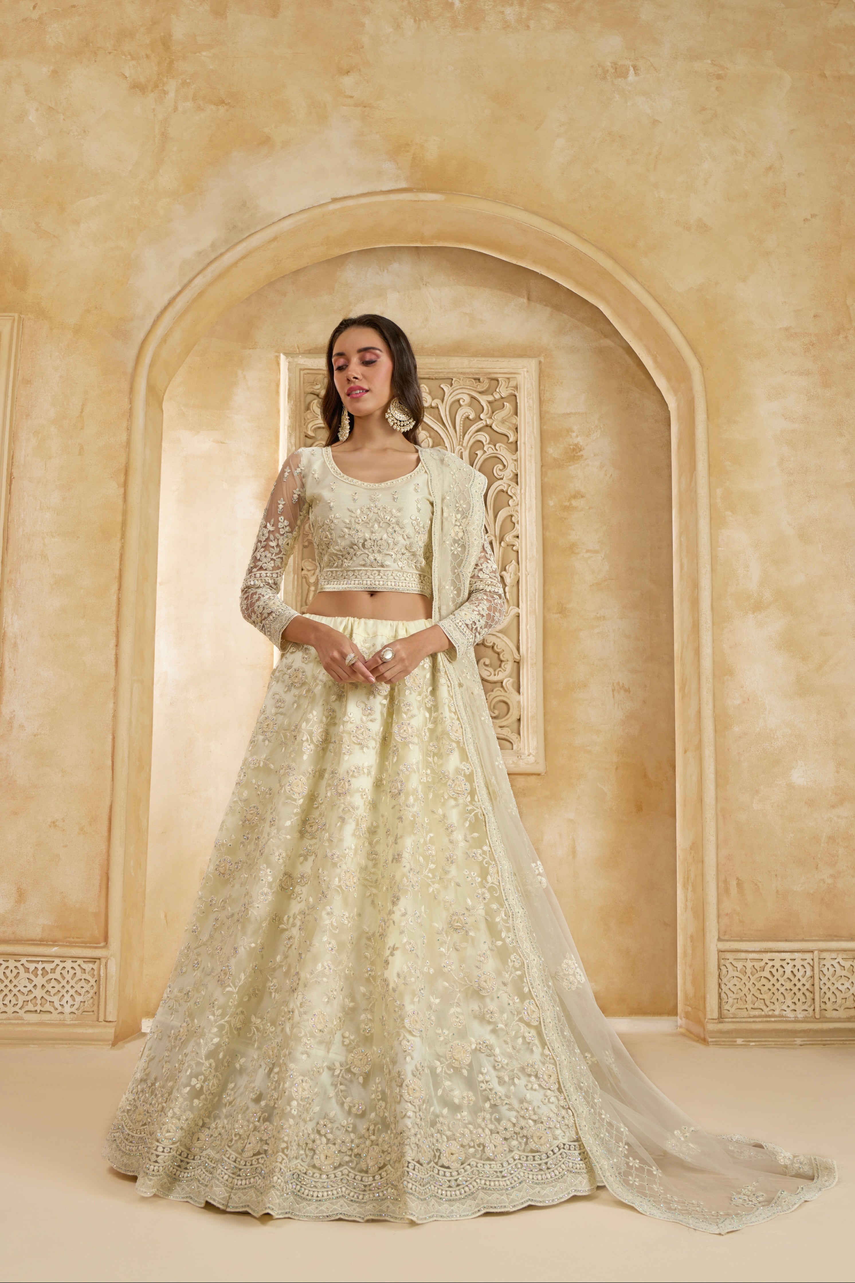 Ivory Elegant Net Lehenga Choli with Stone &amp; Embroidery Detailing