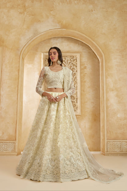 Ivory Elegant Net Lehenga Choli with Stone &amp; Embroidery Detailing