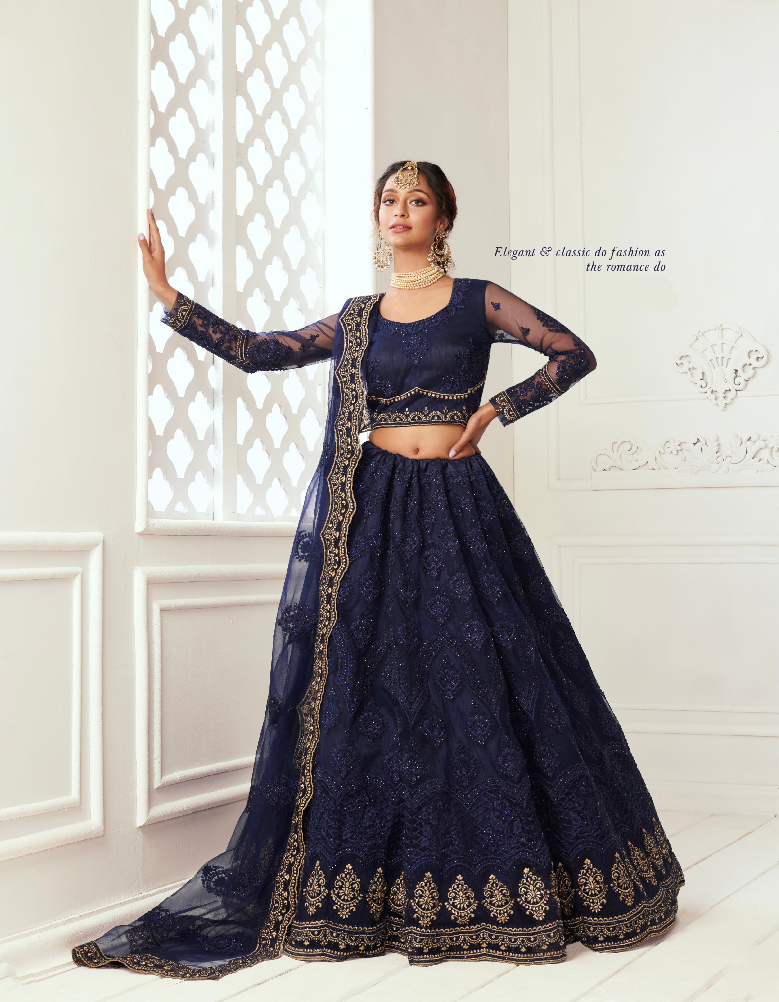 Deep Blue Net Lehenga Set with Zari Embroidery &amp; Heavy Can-Can