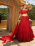 Red Bridal Lehenga with Heavy Zari and Sequins Embroidery
