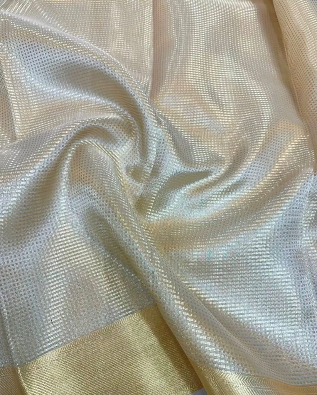 Tissue Saree