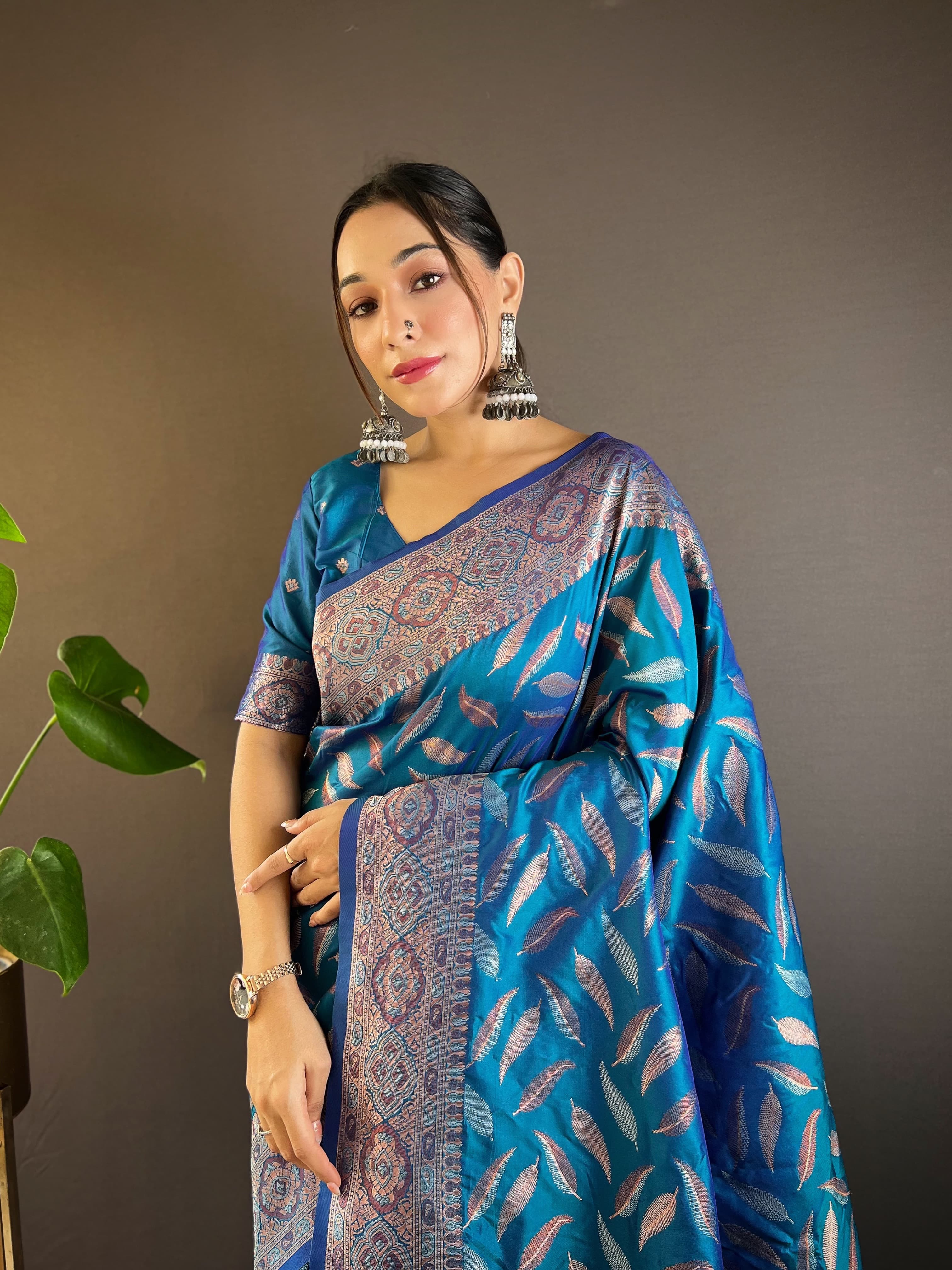 Banarasi Saree